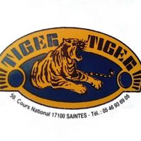 Tigers logo